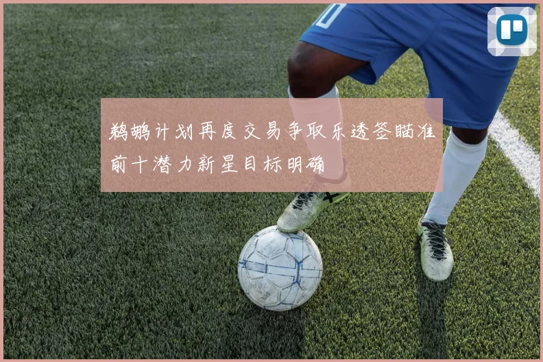 鹈鹕计划再度交易争取乐透签瞄准前十潜力新星目标明确